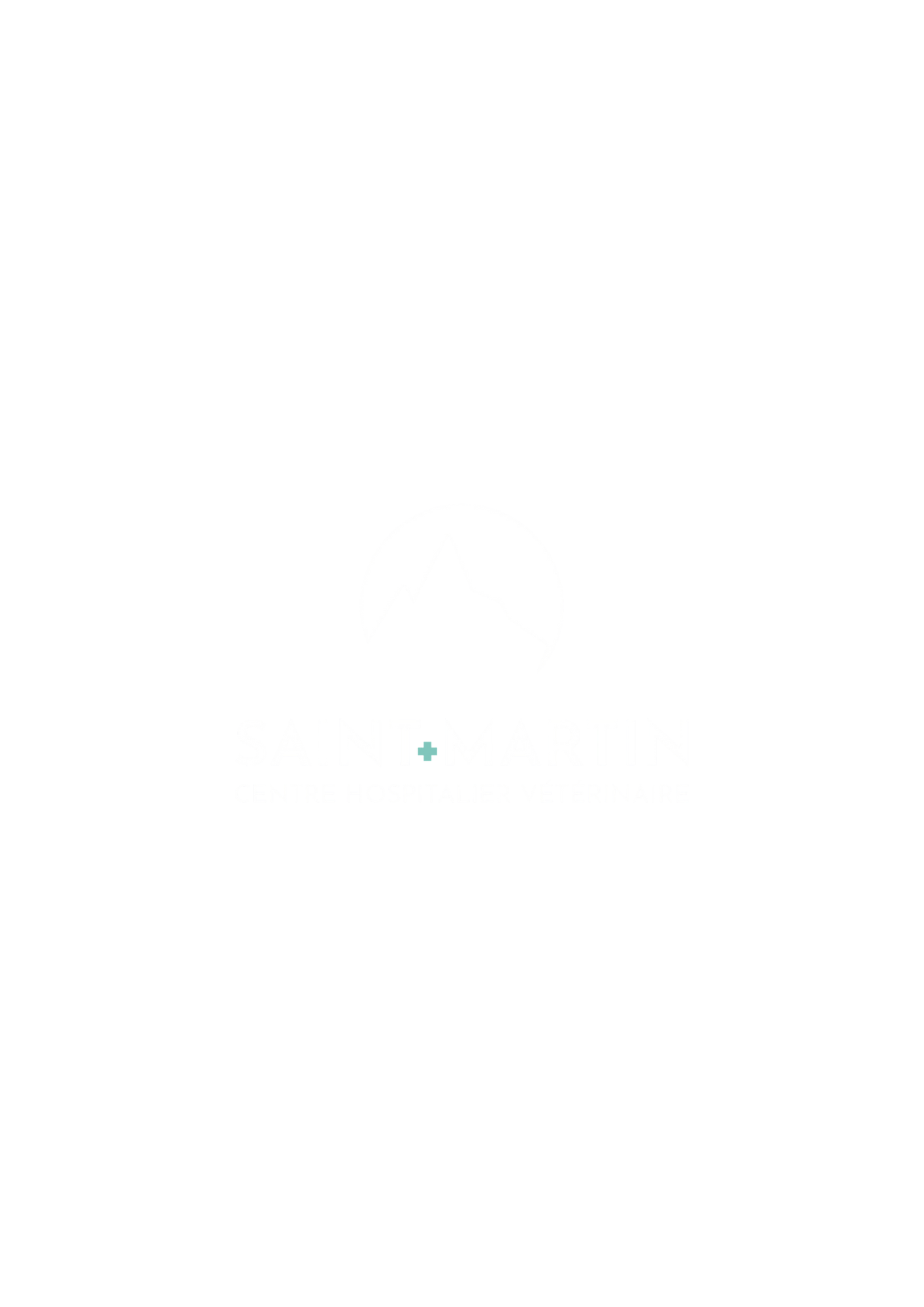 Partner Logo 1